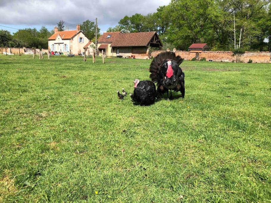 Maison Au Milieu Des Bois Et Des Animaux Jouy-le-Potier Buitenkant foto