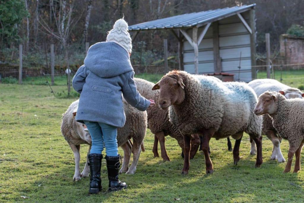 Maison Au Milieu Des Bois Et Des Animaux Jouy-le-Potier Buitenkant foto