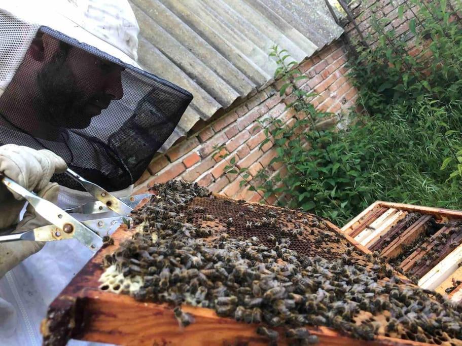 Maison Au Milieu Des Bois Et Des Animaux Jouy-le-Potier Buitenkant foto